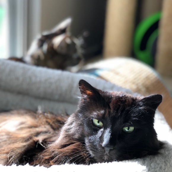 Meet your Posher, May - Picture 5 of 5